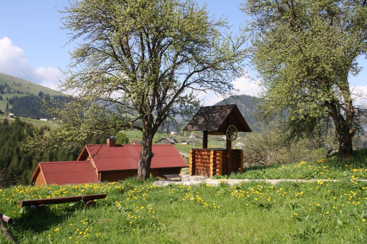 Polonyna Villa Verchovyna Exteriör bild