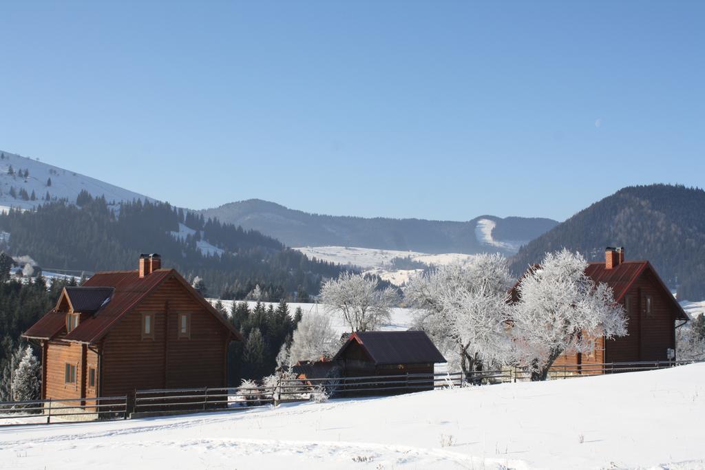 Polonyna Villa Verchovyna Exteriör bild
