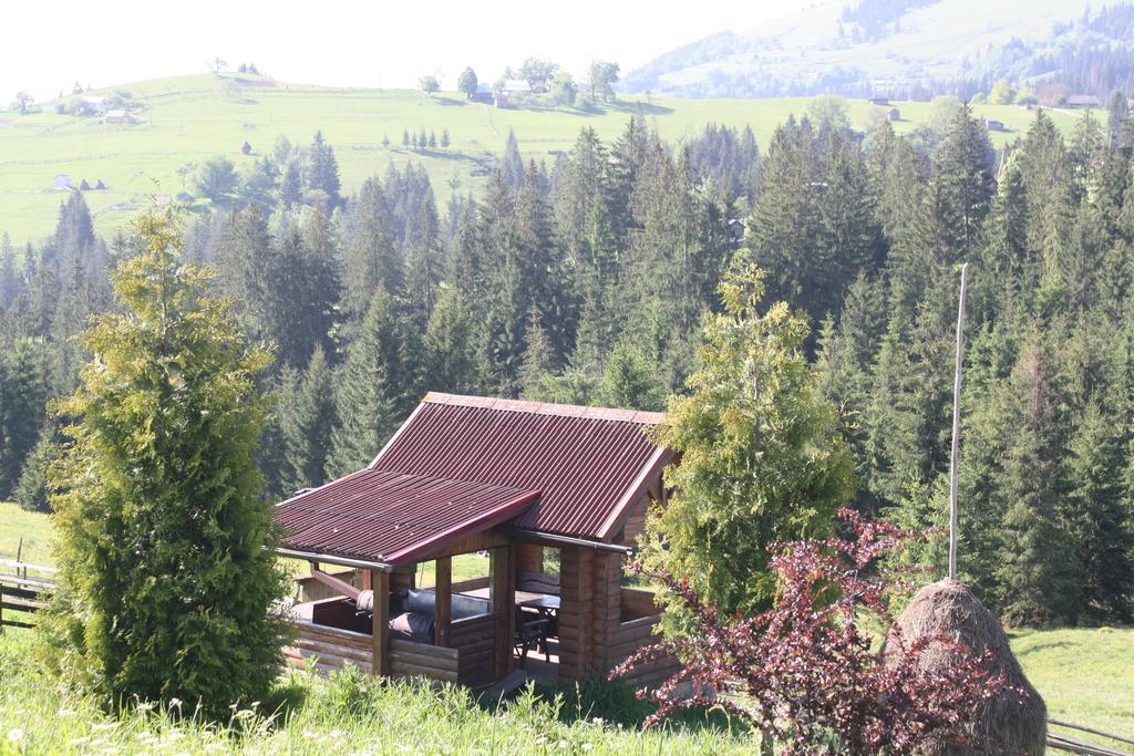 Polonyna Villa Verchovyna Exteriör bild