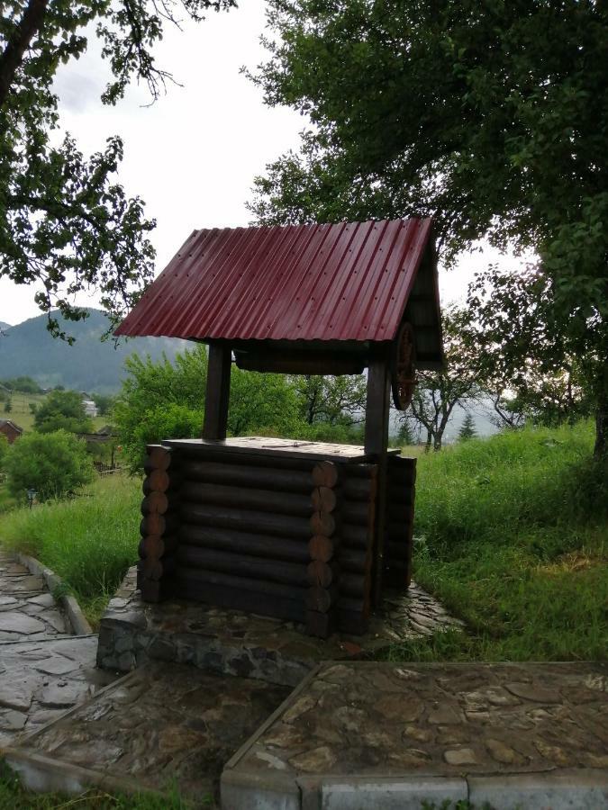 Polonyna Villa Verchovyna Exteriör bild